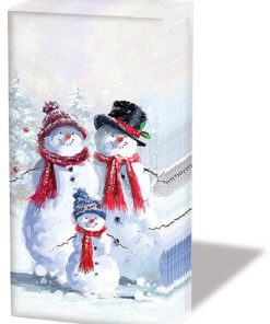 Taschentücher - Schneeman mit Hut