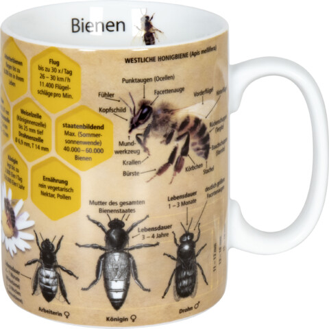Könitz Wissensbecher "Bienen"