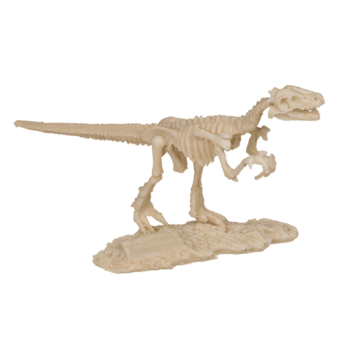 Ausgrabungsset Dinosaurier-Skelett 18cm