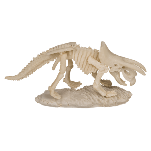 Ausgrabungsset Dinosaurier-Skelett 18cm