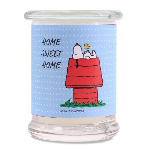 Peanuts® Motiv-Duftkerze Home Sweet Home - 250g